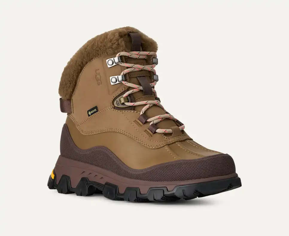Adirondack Meridian Hiker