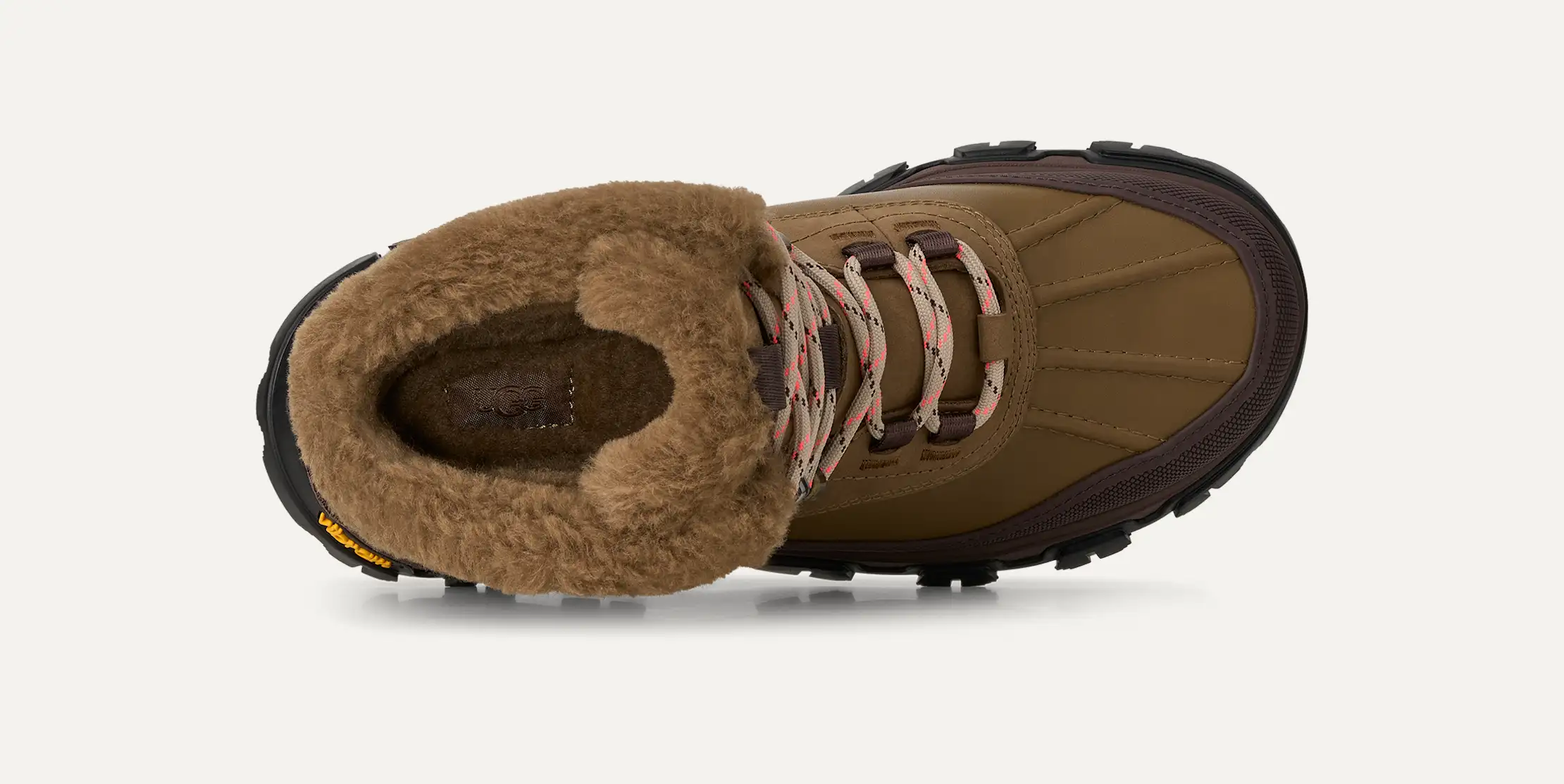 Adirondack Meridian Hiker