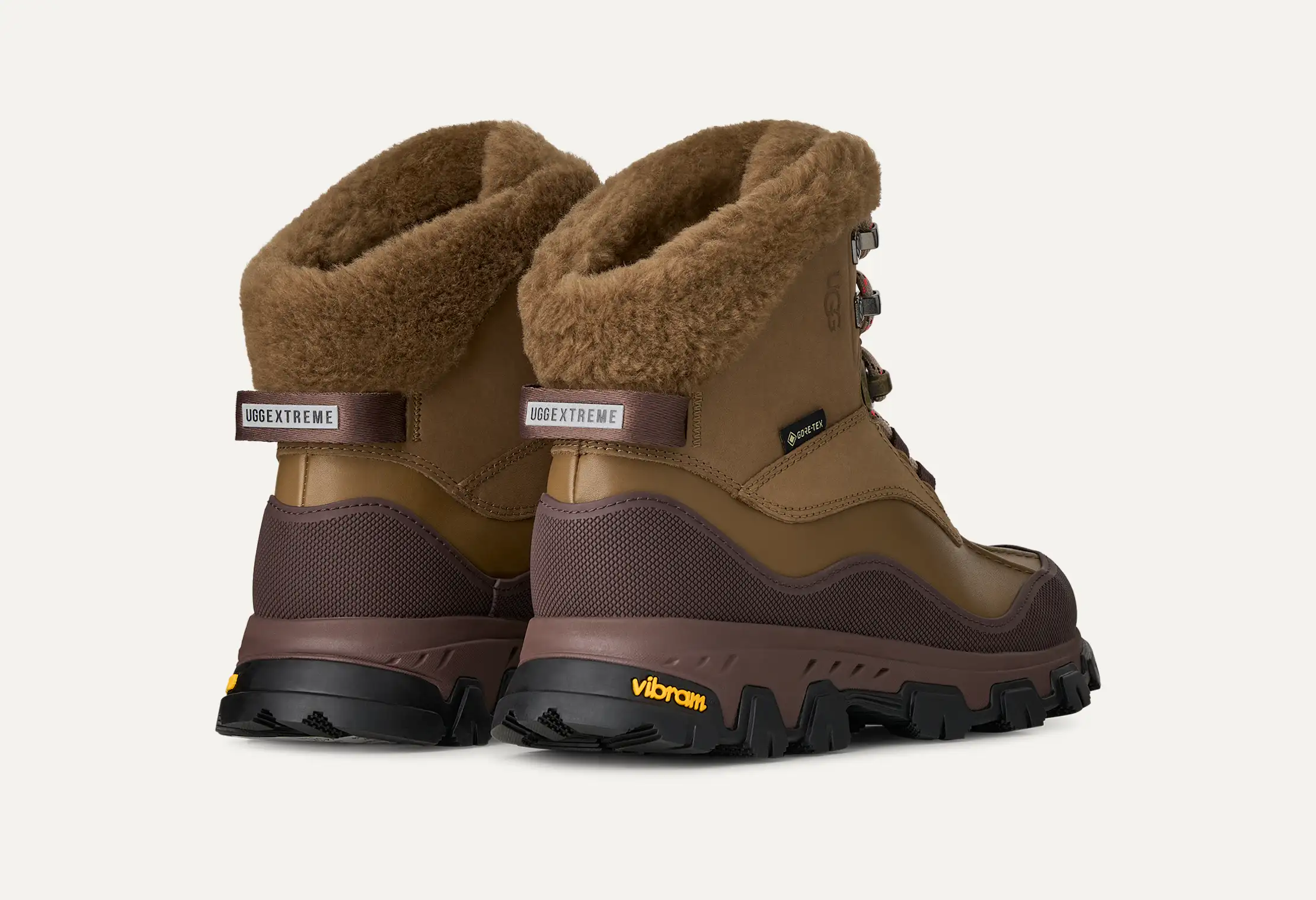 Adirondack Meridian Hiker