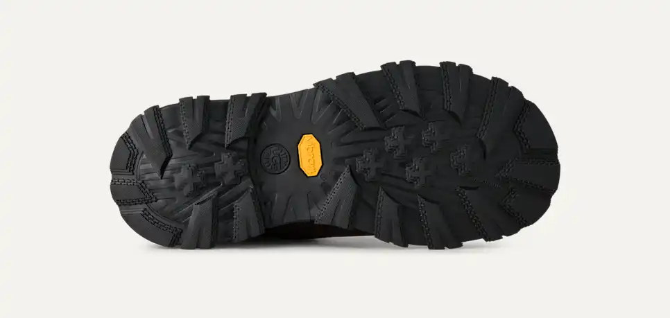 Adirondack Meridian Hiker